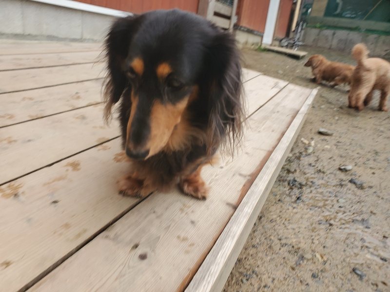 f:id:roukenhome-ann:20191029200626j:plain f:id:roukenhome-ann:20191029200626j:plain