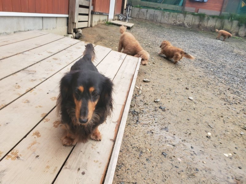 f:id:roukenhome-ann:20191029200638j:plain f:id:roukenhome-ann:20191029200638j:plain