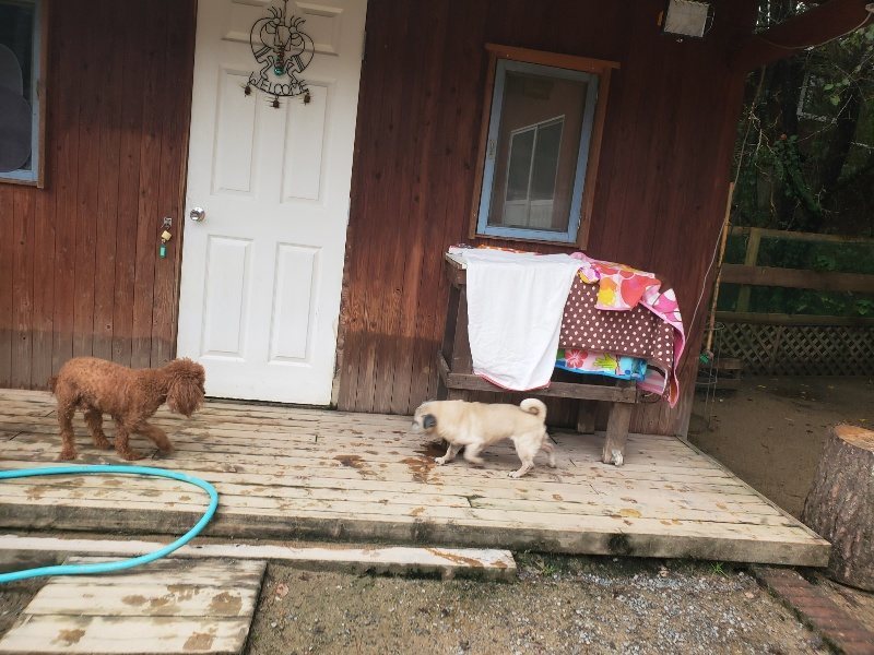 f:id:roukenhome-ann:20191029201237j:plain f:id:roukenhome-ann:20191029201237j:plain
