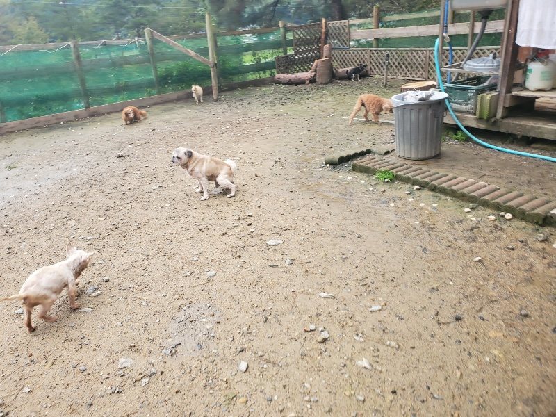 f:id:roukenhome-ann:20191029201259j:plain f:id:roukenhome-ann:20191029201259j:plain
