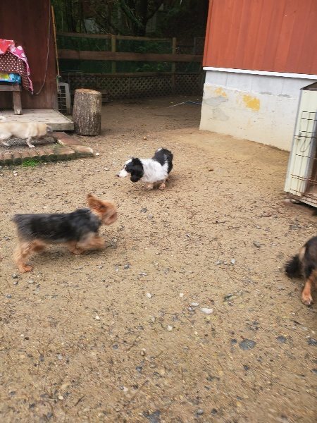 f:id:roukenhome-ann:20191029201307j:plain f:id:roukenhome-ann:20191029201307j:plain