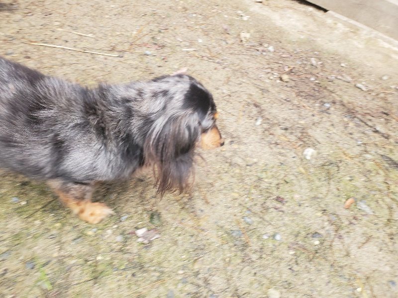 f:id:roukenhome-ann:20191029201351j:plain f:id:roukenhome-ann:20191029201351j:plain
