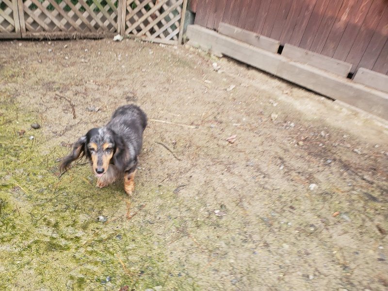 f:id:roukenhome-ann:20191029201405j:plain f:id:roukenhome-ann:20191029201405j:plain