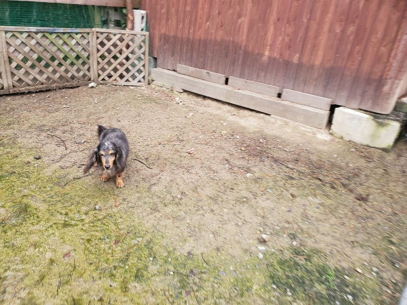 f:id:roukenhome-ann:20191029201416j:plain f:id:roukenhome-ann:20191029201416j:plain