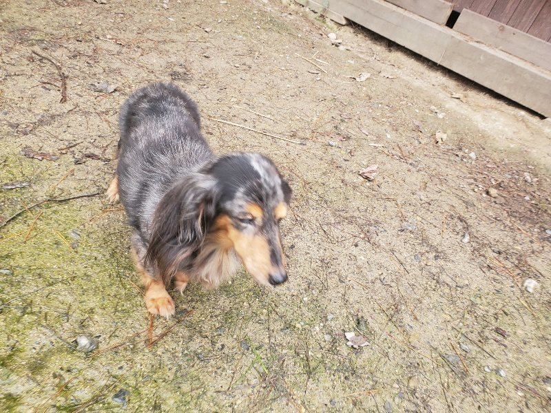 f:id:roukenhome-ann:20191029201427j:plain f:id:roukenhome-ann:20191029201427j:plain