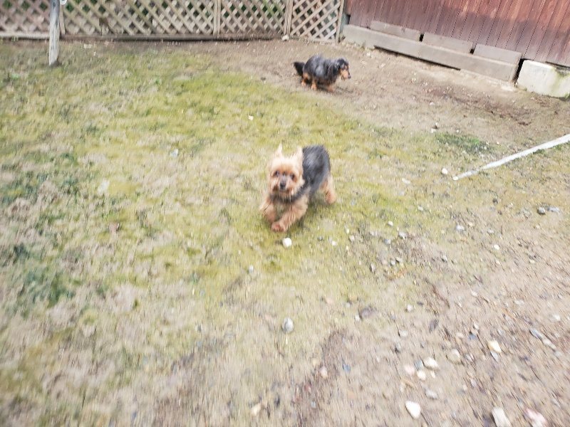 f:id:roukenhome-ann:20191029201457j:plain f:id:roukenhome-ann:20191029201457j:plain
