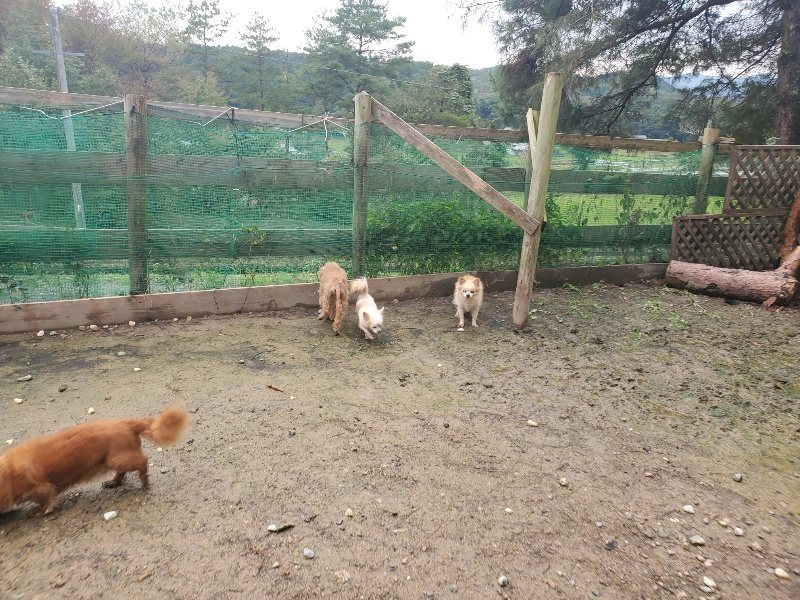f:id:roukenhome-ann:20191029201509j:plain f:id:roukenhome-ann:20191029201509j:plain