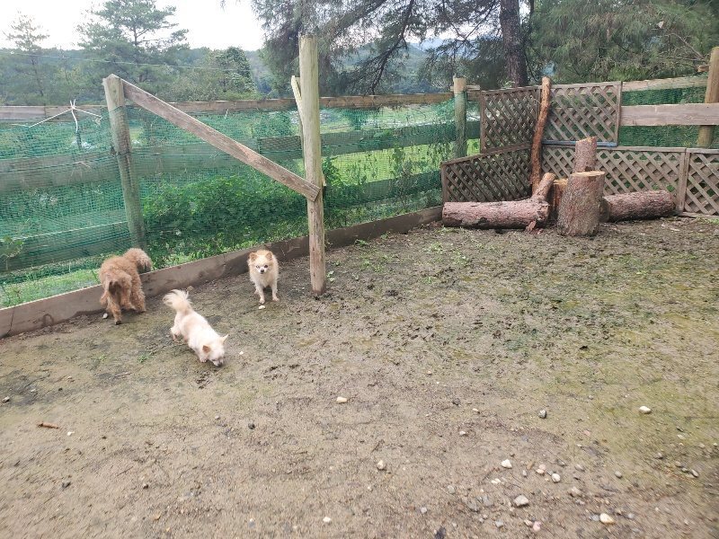 f:id:roukenhome-ann:20191029201522j:plain f:id:roukenhome-ann:20191029201522j:plain