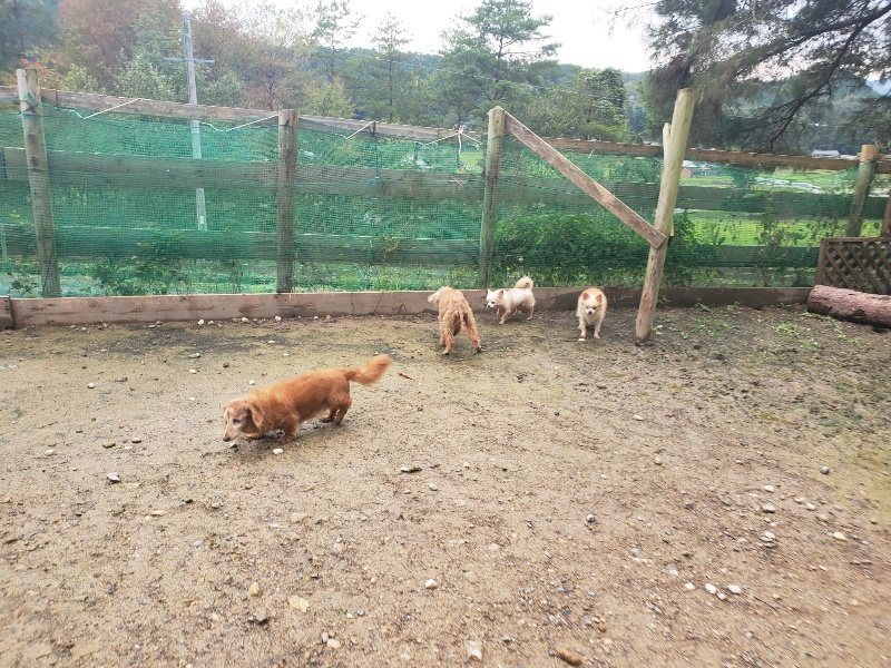 f:id:roukenhome-ann:20191029201539j:plain f:id:roukenhome-ann:20191029201539j:plain