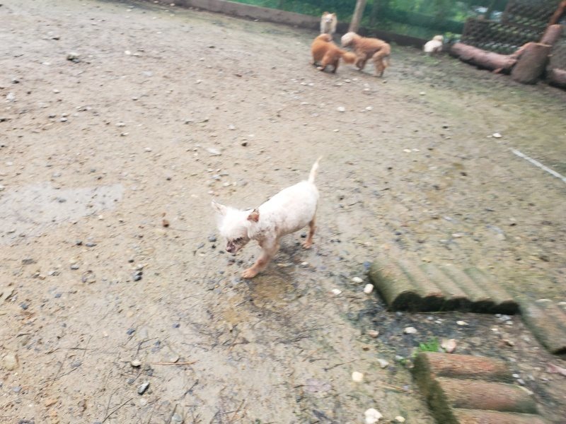 f:id:roukenhome-ann:20191029201637j:plain f:id:roukenhome-ann:20191029201637j:plain