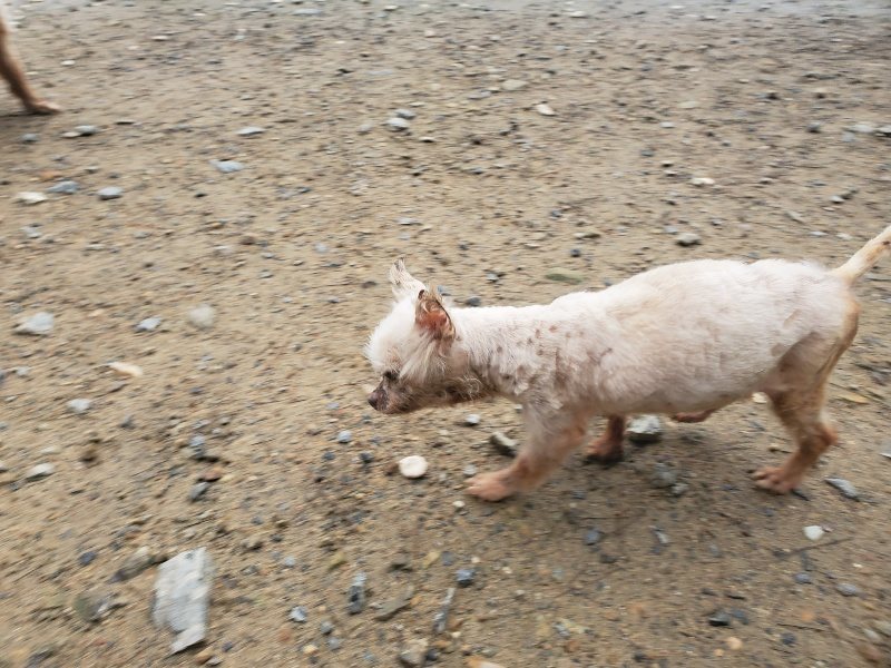 f:id:roukenhome-ann:20191029201648j:plain f:id:roukenhome-ann:20191029201648j:plain