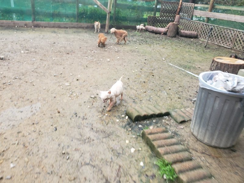 f:id:roukenhome-ann:20191029201709j:plain f:id:roukenhome-ann:20191029201709j:plain