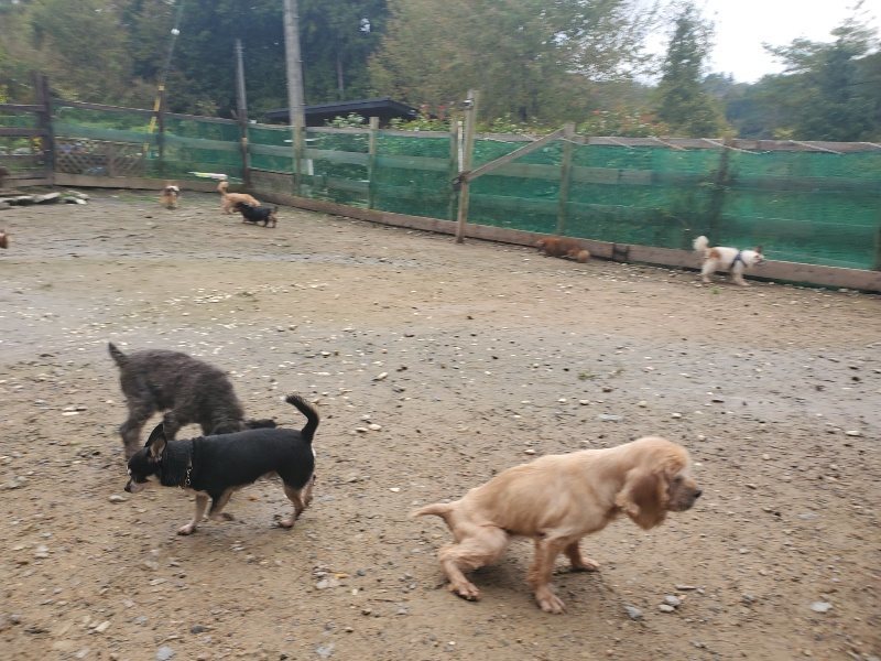 f:id:roukenhome-ann:20191029201721j:plain f:id:roukenhome-ann:20191029201721j:plain