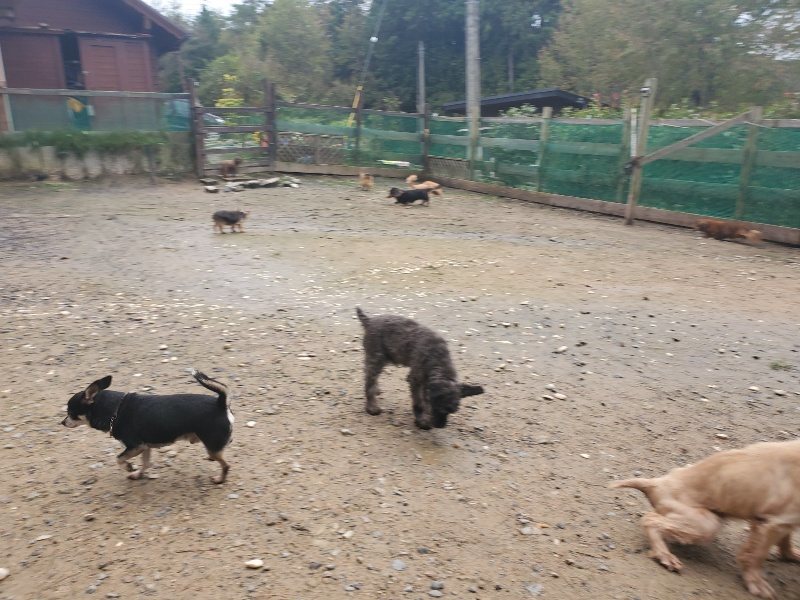 f:id:roukenhome-ann:20191029201731j:plain f:id:roukenhome-ann:20191029201731j:plain