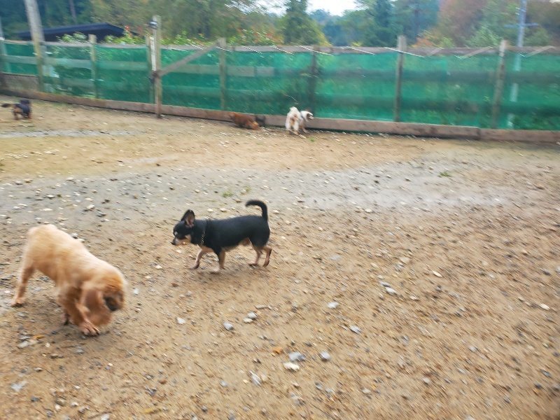 f:id:roukenhome-ann:20191029201752j:plain f:id:roukenhome-ann:20191029201752j:plain