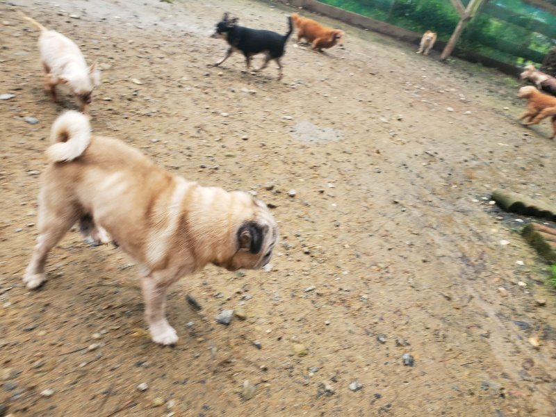 f:id:roukenhome-ann:20191029201759j:plain f:id:roukenhome-ann:20191029201759j:plain