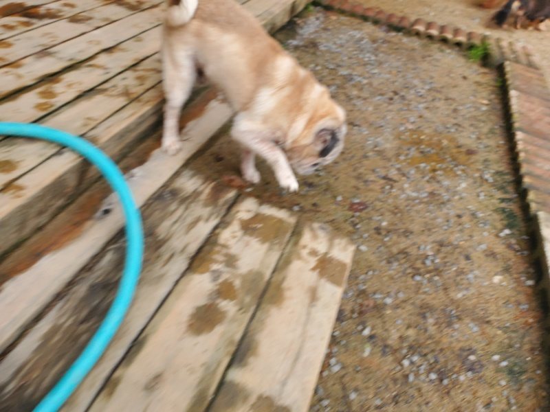f:id:roukenhome-ann:20191029212146j:plain f:id:roukenhome-ann:20191029212146j:plain