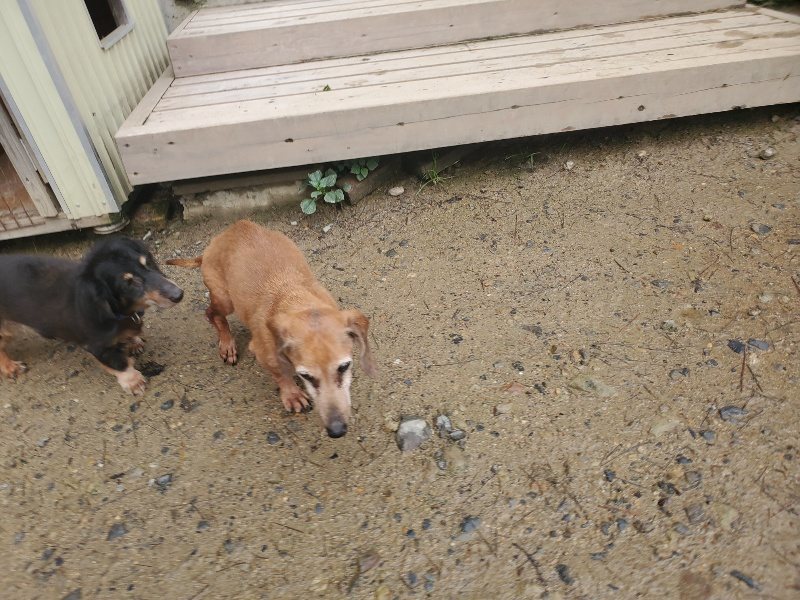 f:id:roukenhome-ann:20191029212257j:plain f:id:roukenhome-ann:20191029212257j:plain