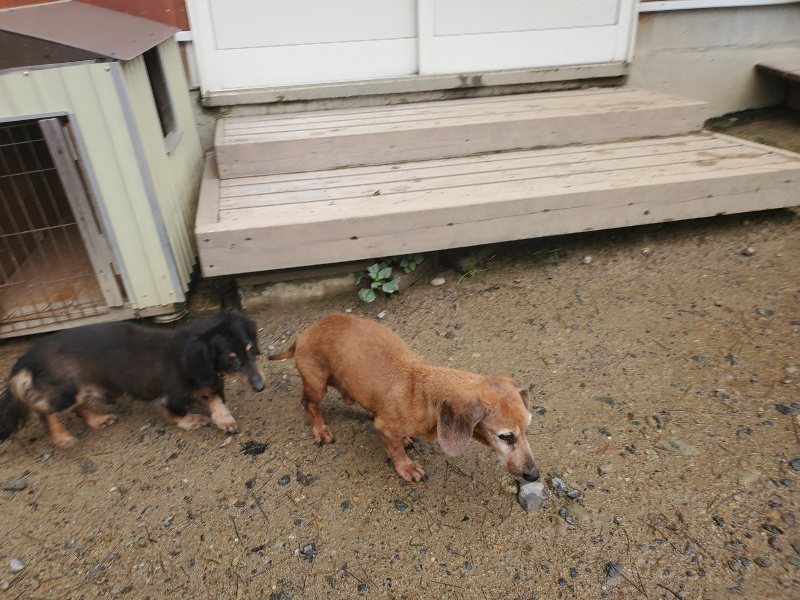 f:id:roukenhome-ann:20191029212304j:plain f:id:roukenhome-ann:20191029212304j:plain
