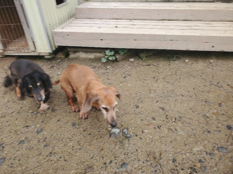 f:id:roukenhome-ann:20191029212310j:plain f:id:roukenhome-ann:20191029212310j:plain