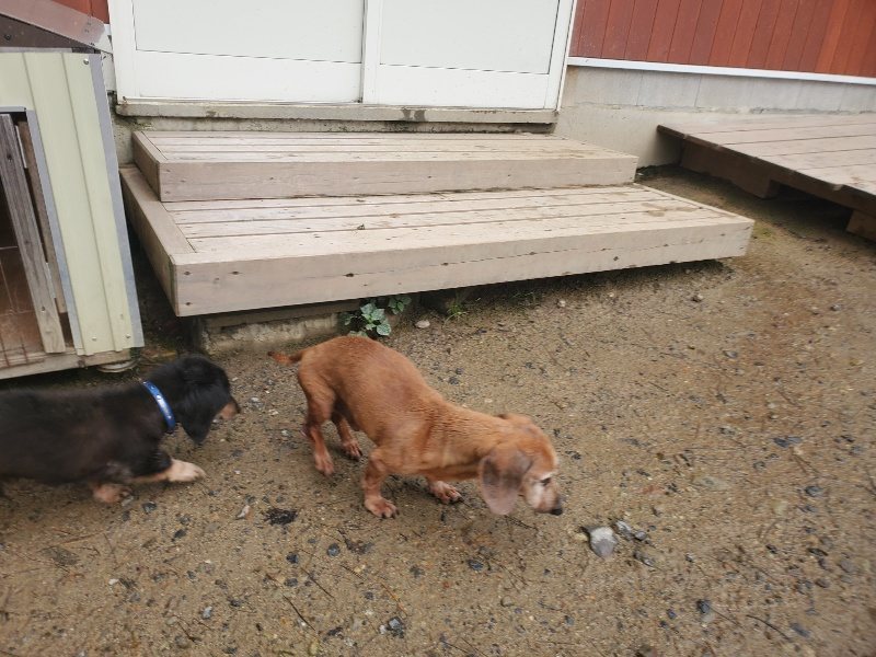 f:id:roukenhome-ann:20191029212318j:plain f:id:roukenhome-ann:20191029212318j:plain