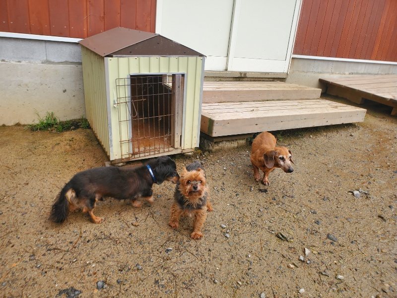 f:id:roukenhome-ann:20191029212337j:plain f:id:roukenhome-ann:20191029212337j:plain