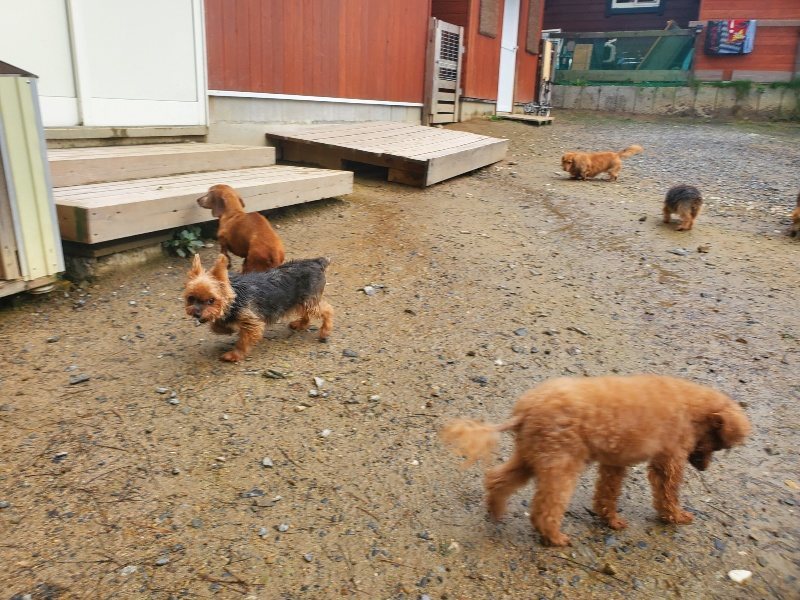 f:id:roukenhome-ann:20191029212428j:plain f:id:roukenhome-ann:20191029212428j:plain