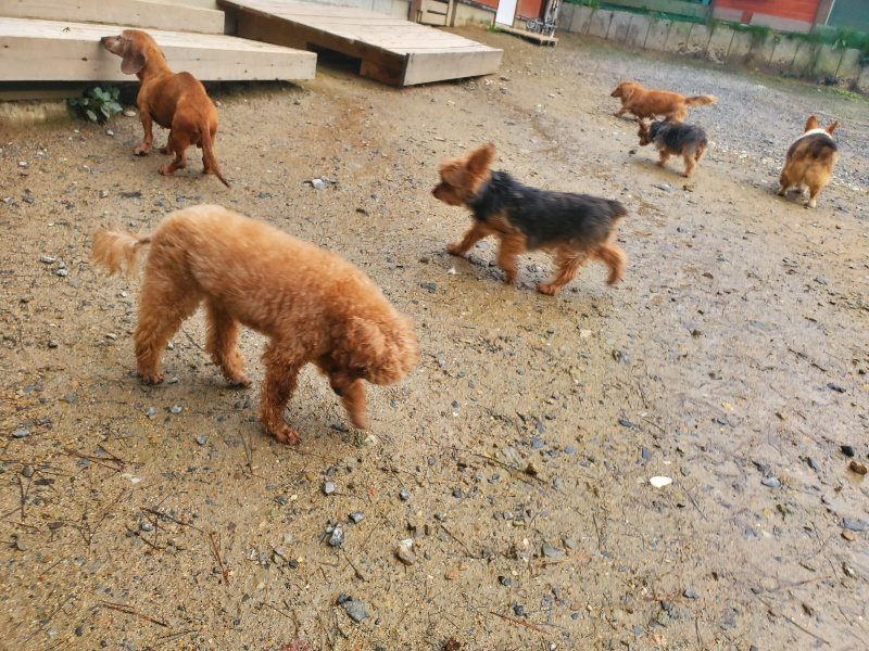 f:id:roukenhome-ann:20191029212506j:plain f:id:roukenhome-ann:20191029212506j:plain