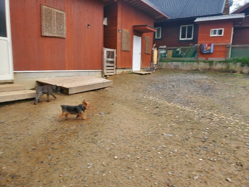 f:id:roukenhome-ann:20191030044745j:plain f:id:roukenhome-ann:20191030044745j:plain
