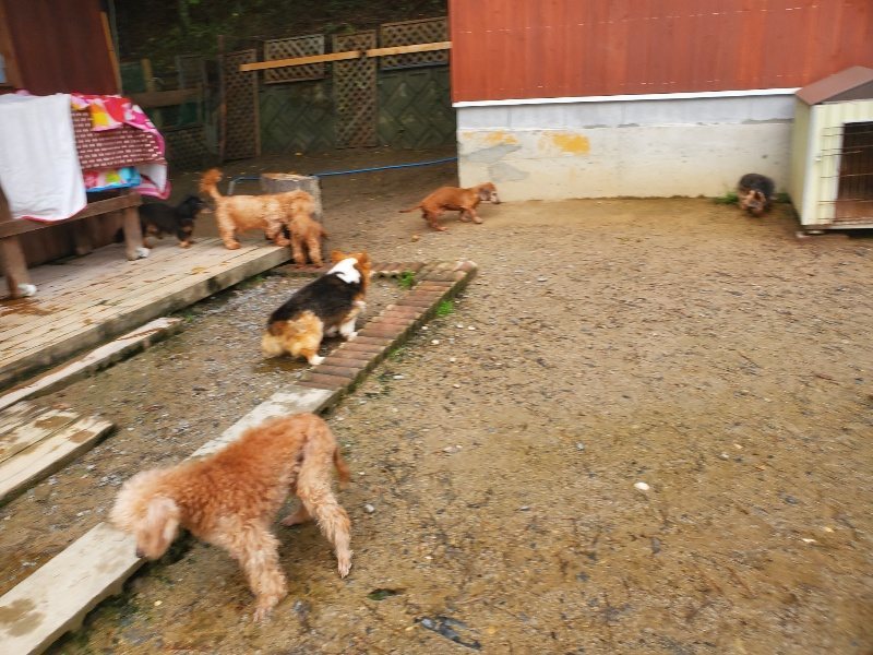 f:id:roukenhome-ann:20191030044753j:plain f:id:roukenhome-ann:20191030044753j:plain