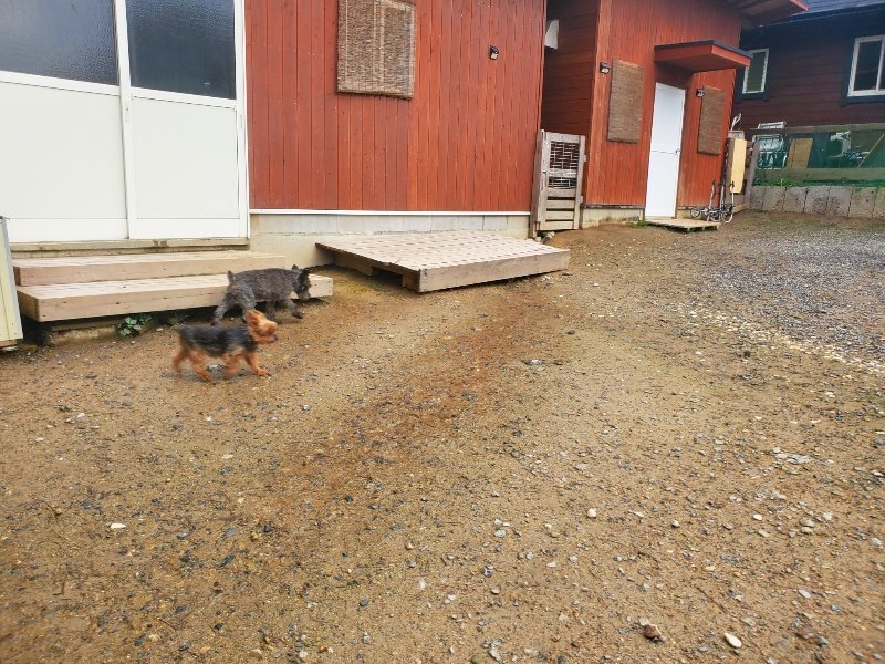 f:id:roukenhome-ann:20191030044800j:plain f:id:roukenhome-ann:20191030044800j:plain