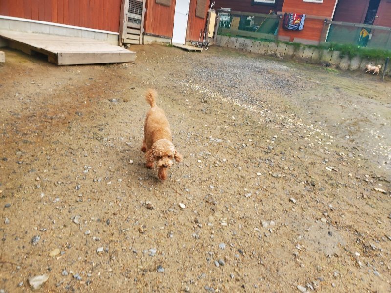 f:id:roukenhome-ann:20191030044809j:plain f:id:roukenhome-ann:20191030044809j:plain