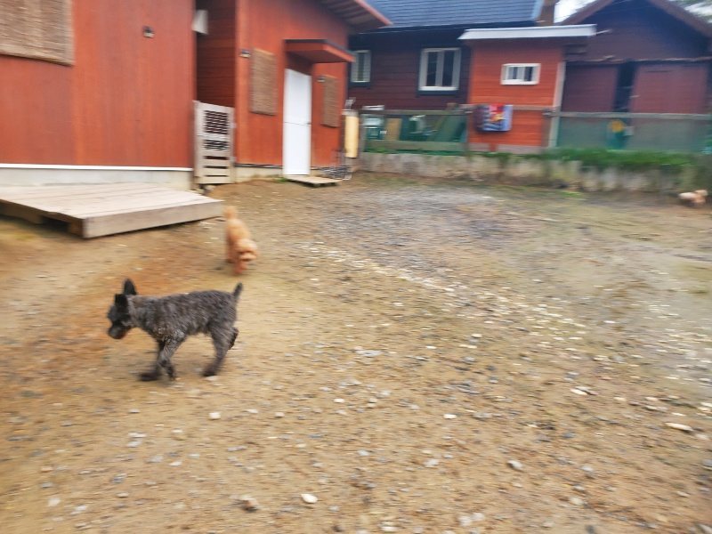 f:id:roukenhome-ann:20191030044813j:plain f:id:roukenhome-ann:20191030044813j:plain