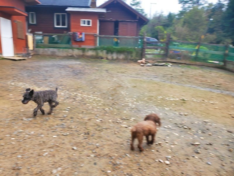 f:id:roukenhome-ann:20191030044820j:plain f:id:roukenhome-ann:20191030044820j:plain