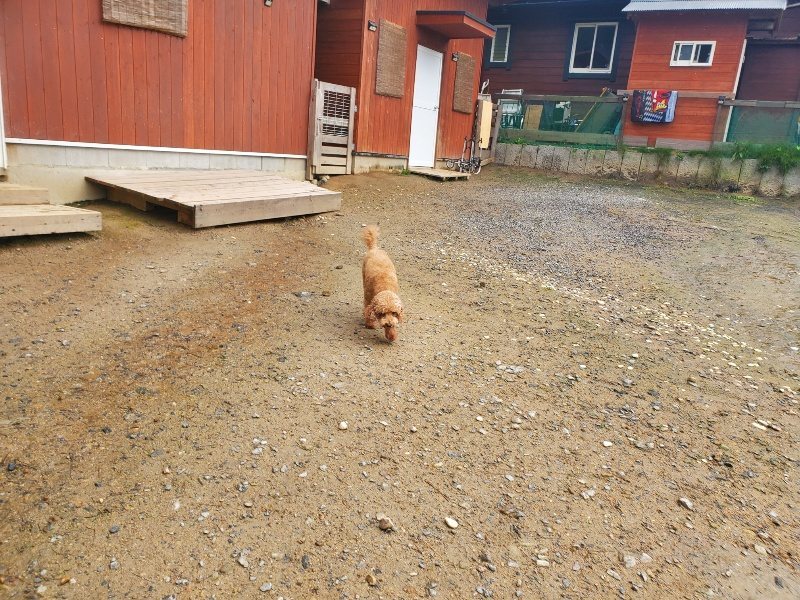 f:id:roukenhome-ann:20191030044829j:plain f:id:roukenhome-ann:20191030044829j:plain