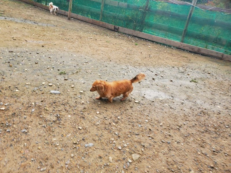 f:id:roukenhome-ann:20191030044835j:plain f:id:roukenhome-ann:20191030044835j:plain