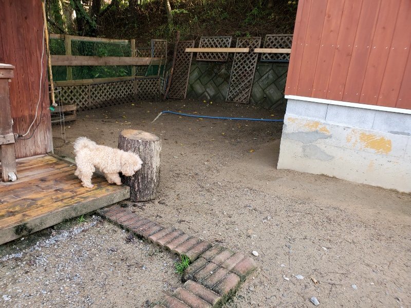 f:id:roukenhome-ann:20191031082104j:plain