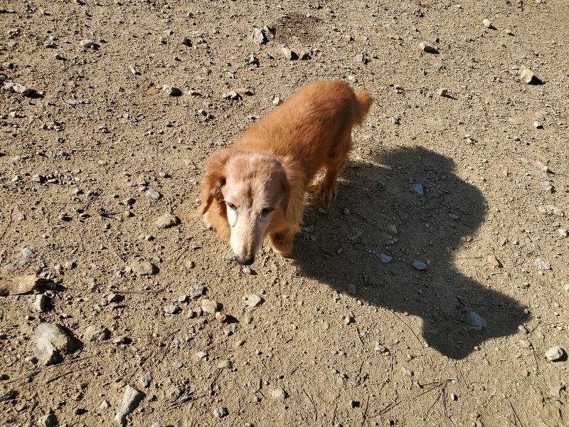 f:id:roukenhome-ann:20191106103851j:plain