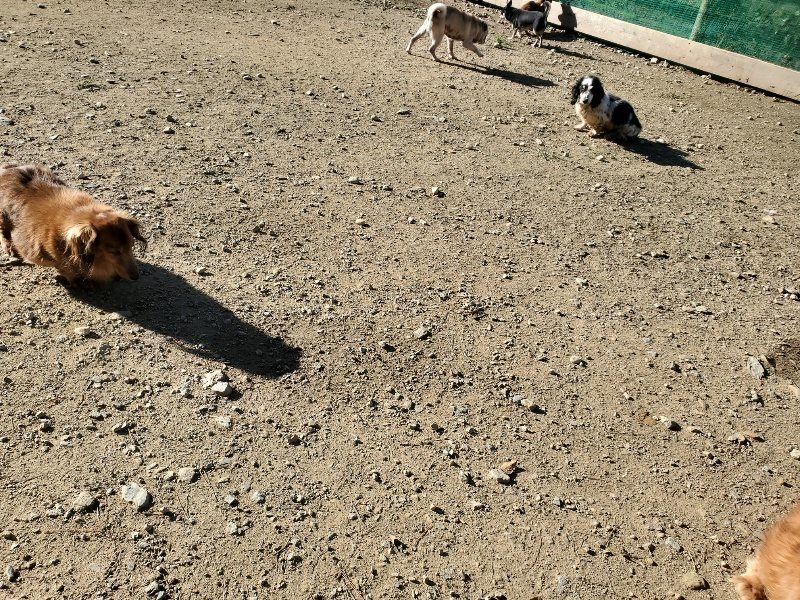 f:id:roukenhome-ann:20191106103909j:plain