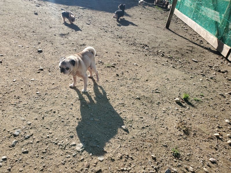 f:id:roukenhome-ann:20191106104008j:plain