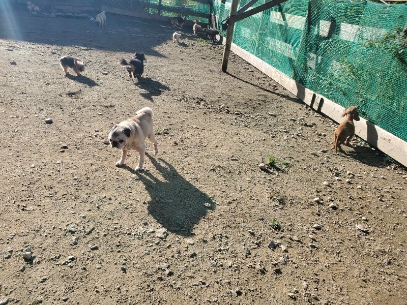 f:id:roukenhome-ann:20191106104030j:plain