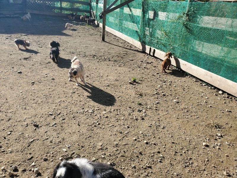 f:id:roukenhome-ann:20191106104041j:plain