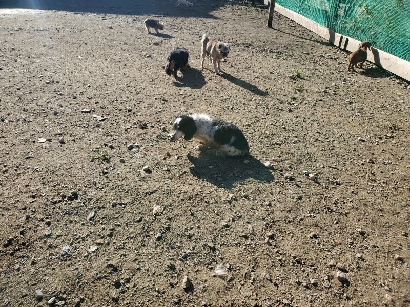 f:id:roukenhome-ann:20191106104047j:plain