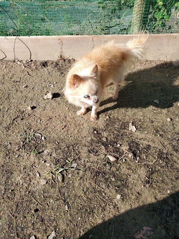 f:id:roukenhome-ann:20191106104130j:plain