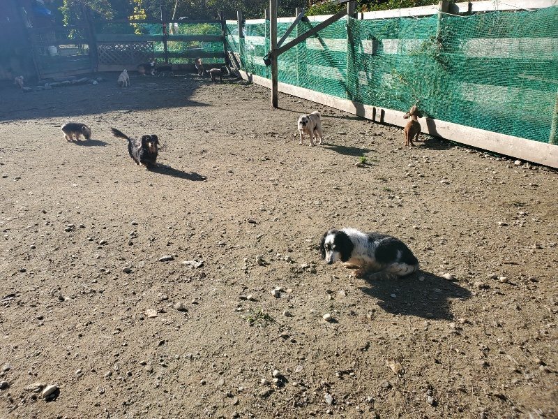 f:id:roukenhome-ann:20191106104213j:plain