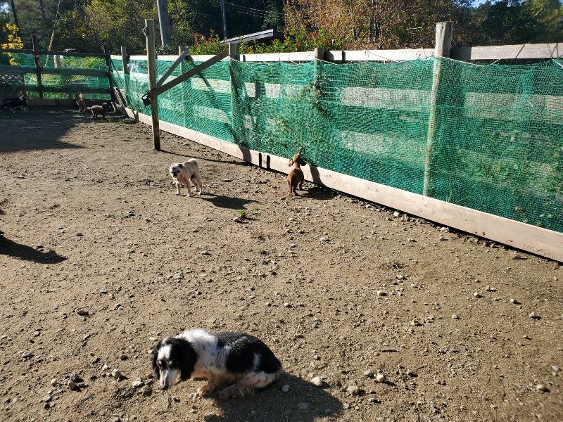 f:id:roukenhome-ann:20191106104221j:plain