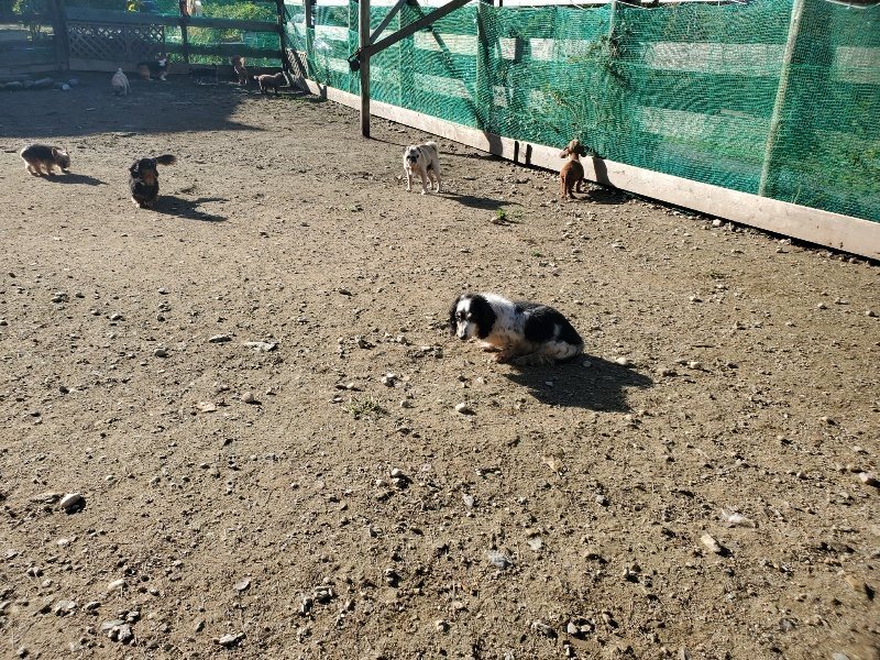 f:id:roukenhome-ann:20191106104227j:plain