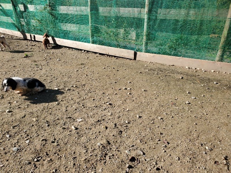 f:id:roukenhome-ann:20191106104235j:plain