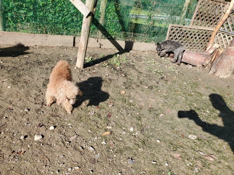 f:id:roukenhome-ann:20191106104322j:plain