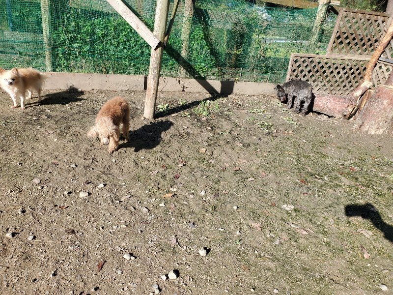 f:id:roukenhome-ann:20191106104336j:plain